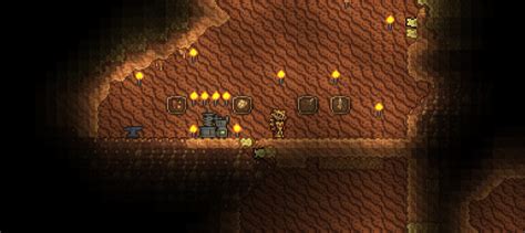 fossil terraria